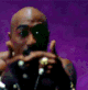 Guest_BenjiBoa