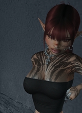 Guest_thegunner