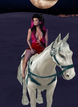 Guest_SteenaGreen