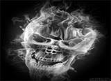 Guest_xXTorettoXx