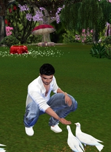 Guest_Reice3DS