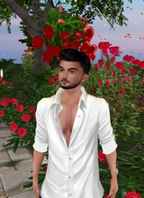 Guest_Reice3DS