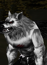 Guest_CHAOSSOUL1