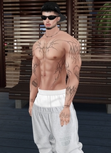 Guest_Dl3GO