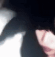 Guest_qtmadi