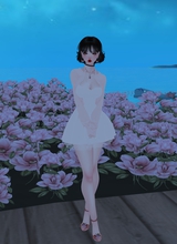 Guest_cherry743328