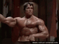 Guest_ArnoldSchwarzenegge3