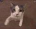Guest_JhonWick17