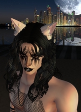 Guest_Mattmcbones