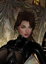 VixensDesire