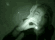 Guest_brooklyn226