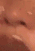 Guest_Amarii642659