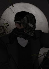 Guest_Nightlife2