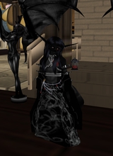 BagulVulpes5K