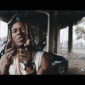 Guest_bando972451