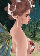 Lillylove1