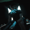 Guest_op431157