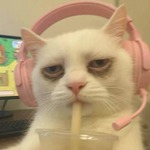 immagine avatar