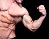 BigBullDaddy