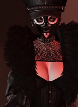 Guest_xXAmphysXx