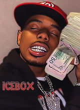 Guest_icebox