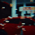 Guest_Iyanna914440