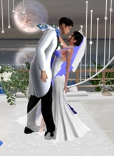 SkyfrostNights