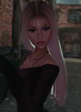 Canvas: IDreaml