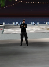 MrScaniaV8Trucker