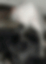 FengCha