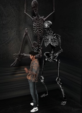 Guest_VALERIO35