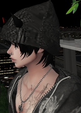 Guest_Dante529724