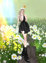 Guest_AP334