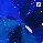 FlameBando999
