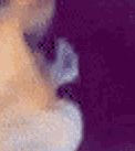 Guest_jenninyboty