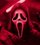 Guest_Ares9116