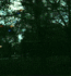 Guest_Amariback