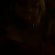 Cammy405