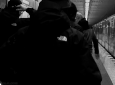 Guest_omar122496