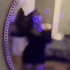 Guest_catomitexd