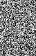 Guest_Iavp