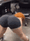 Guest_kikiphat