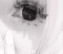 Guest_Sam554239