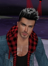 Guest_xibernoid