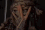 Guest_DUDA431937