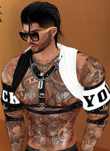 avpic