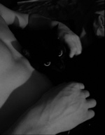 SULD