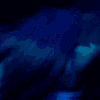 avatarbild