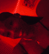 Guest_improvin