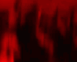 Guest_4Rackz1